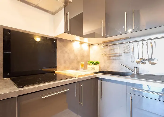 6 Pers. Montagnes Pyrenees Pla D'adet - Fr-1-296-483 Apartment *